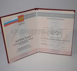 Аттестат За 11 Класс 2011г Серебро в Новосибирске